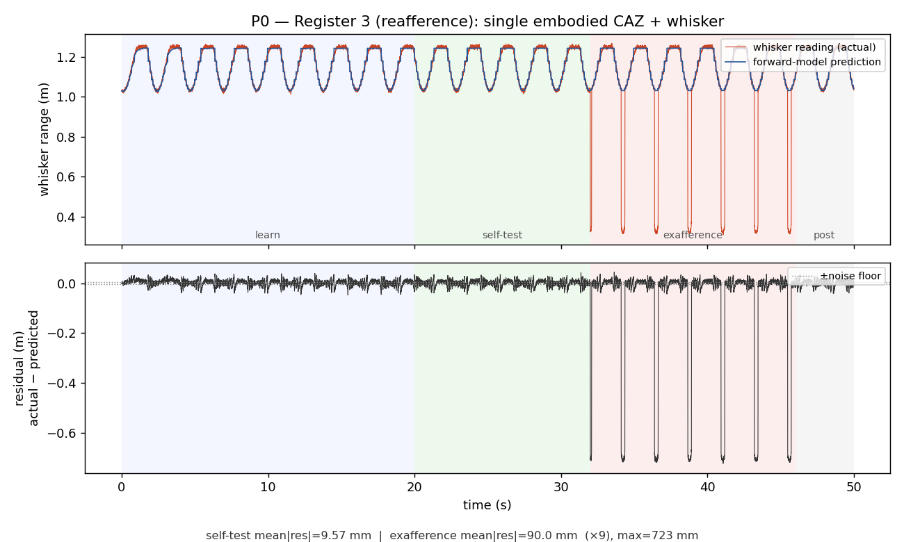 P0 reafference — whisker reading vs forward-model prediction; residual over time with phase shading