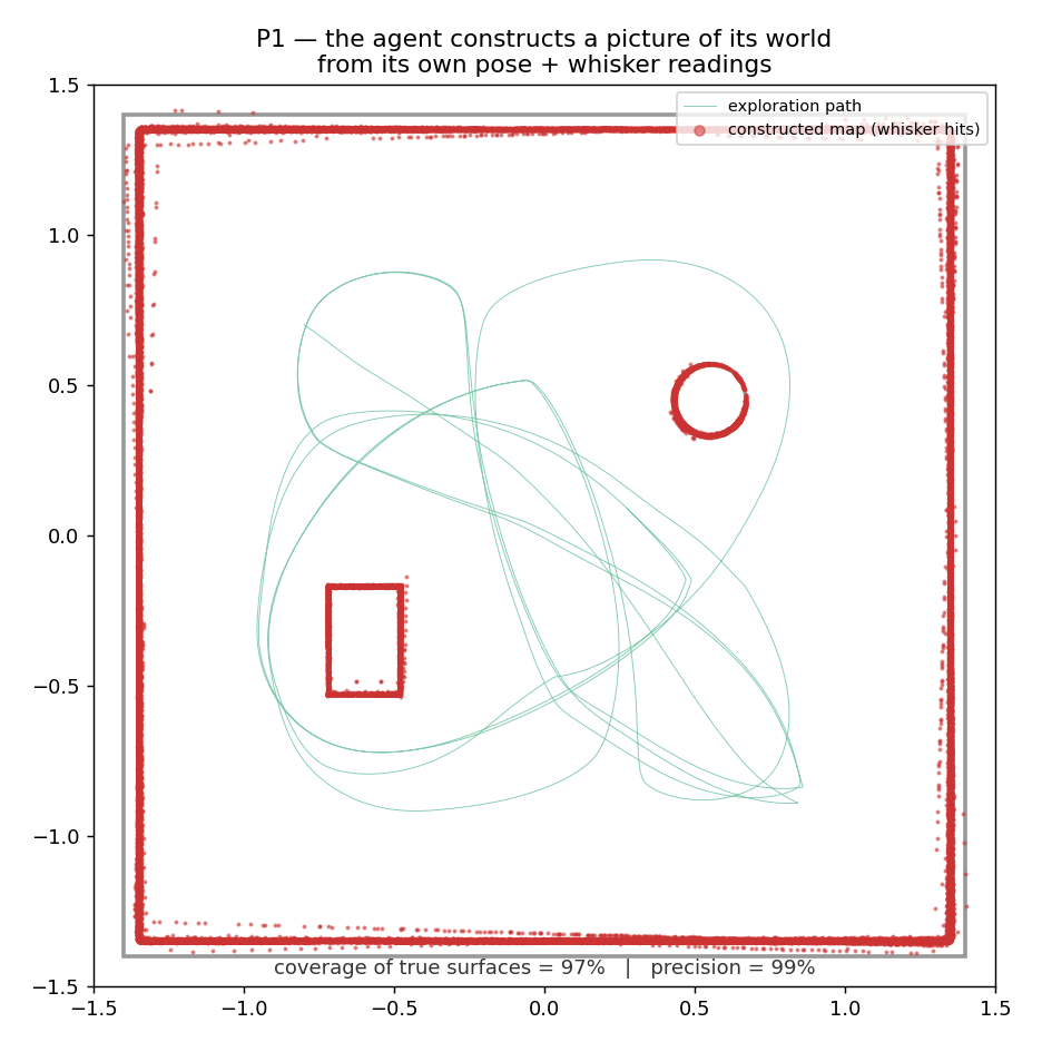 P1 world model — exploration path, constructed hit cloud, and the coverage/precision summary