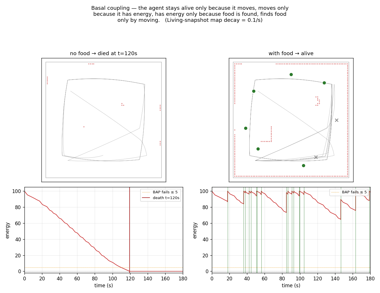 Basal coupling — no food (dies at ~120 s) vs with food + regrowth (alive at 180 s)