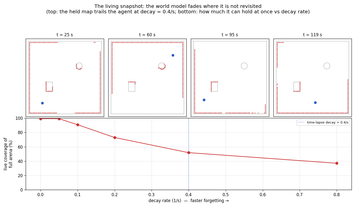 Living snapshot — time-lapse of the live map at decay 0.4/s and the decay-vs-coverage curve