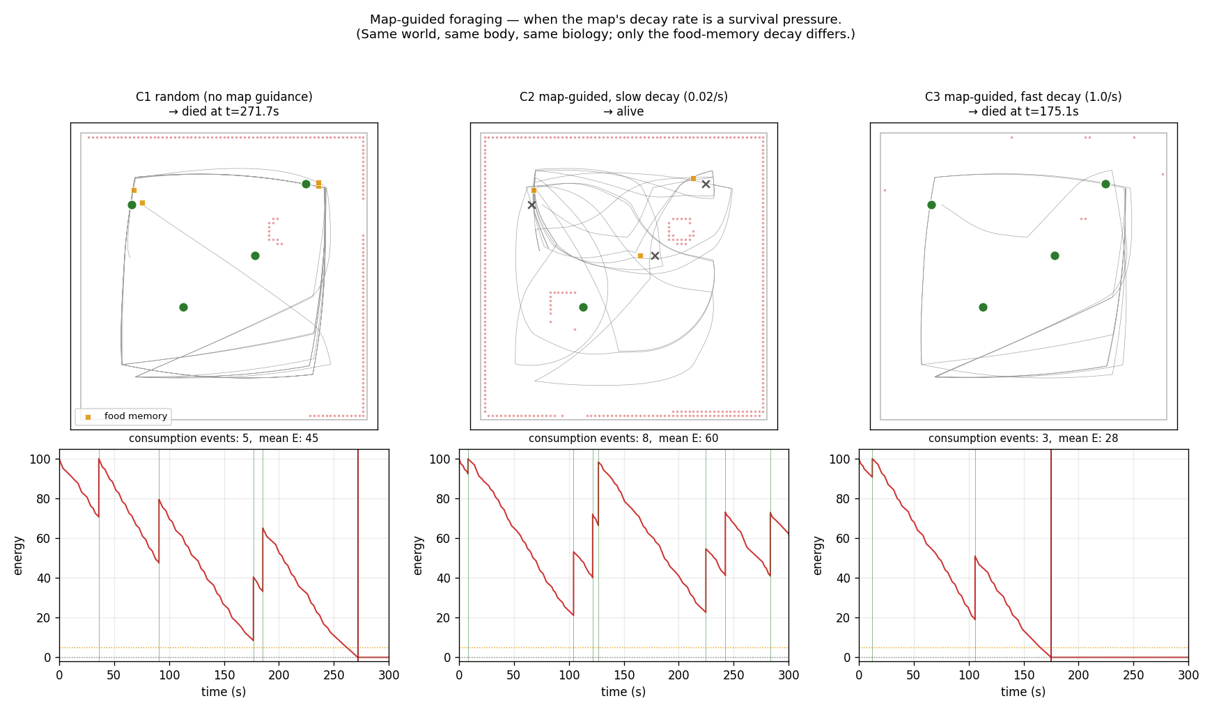 Map-guided foraging — three-way contrast: random dies at 272 s, slow-decay alive at 300 s, fast-decay dies earlier than random at 175 s