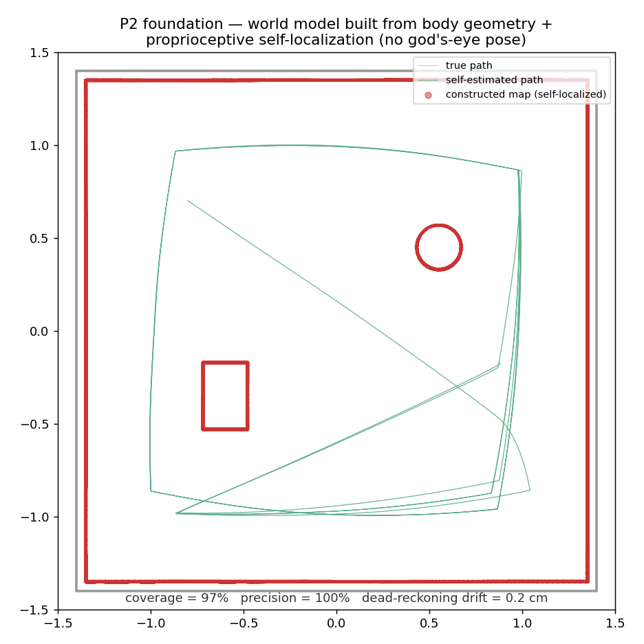 P2 self-localized world model — true vs self-estimated path, the constructed map, and the coverage / precision / drift summary